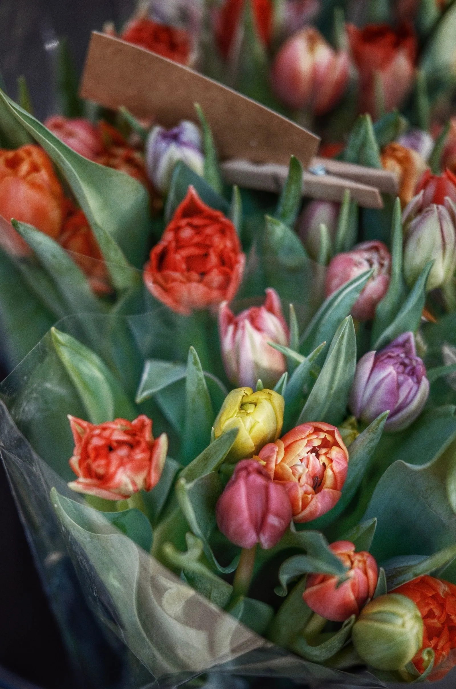 Flower Delivery App Development like Floward: Cost, Features and Everything Else