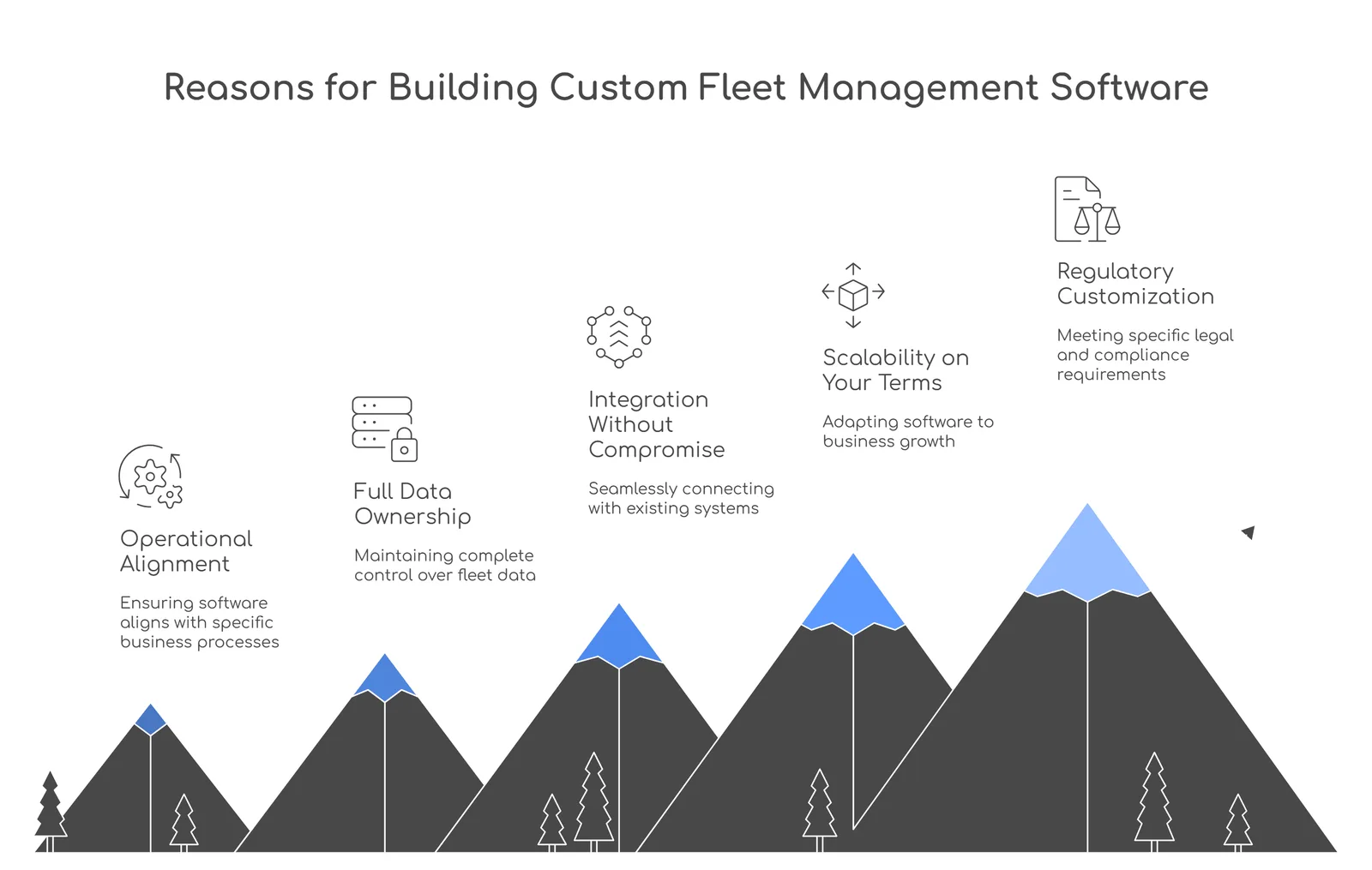 build custom fleet management software