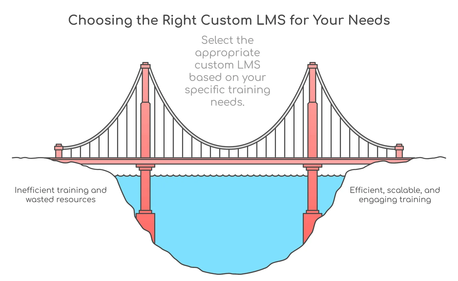 Types of Custom LMS