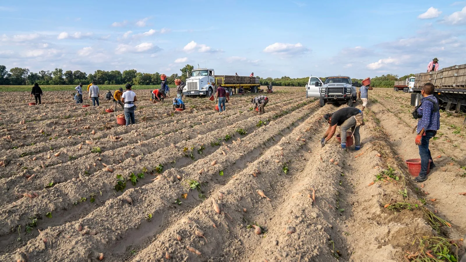 Agriculture App Development in 2026 – A talk of a new era!