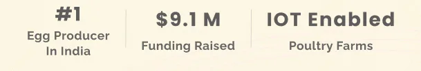 Eggoz stats